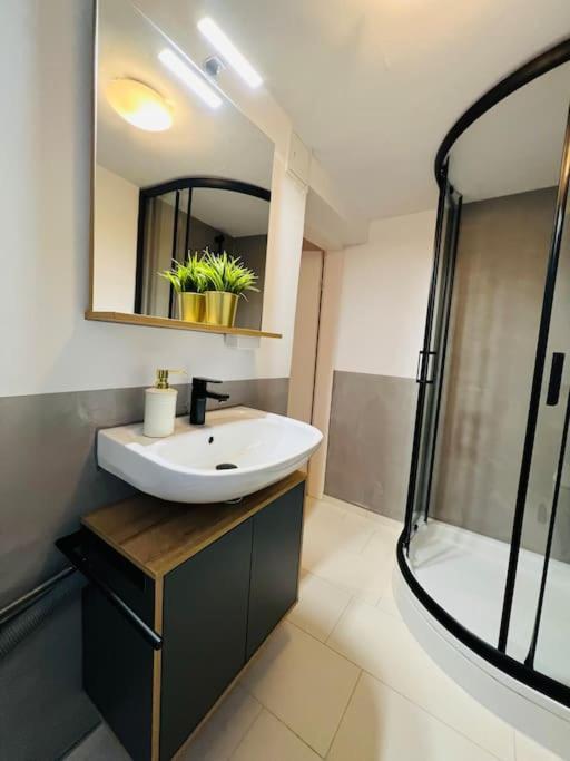 Apartment Rheingold Швабах Екстер'єр фото